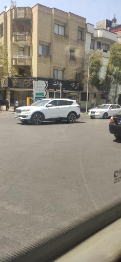 عکس فرش فروشی مقدم
