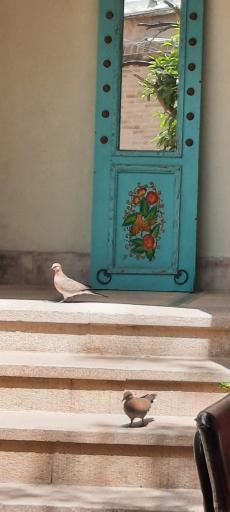 عکس خانه سنتی ملک