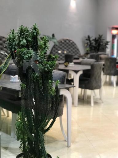 عکس رستوران وزیری