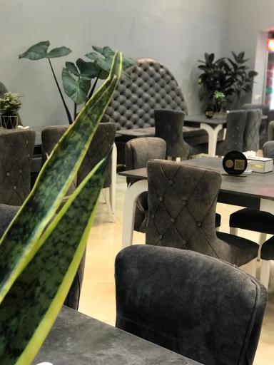 عکس رستوران وزیری