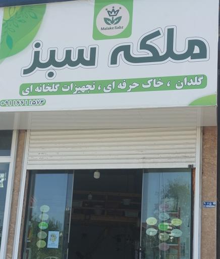 عکس ملکه سبز
