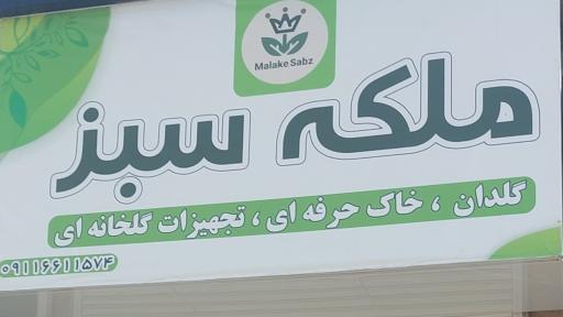 عکس ملکه سبز
