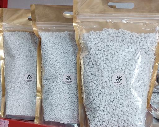 عکس ملکه سبز