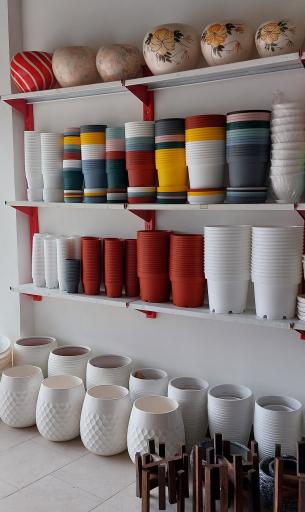 عکس ملکه سبز