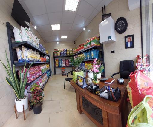 عکس بورس برنج ستار