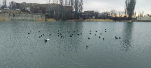 عکس دریاچه طرق رود