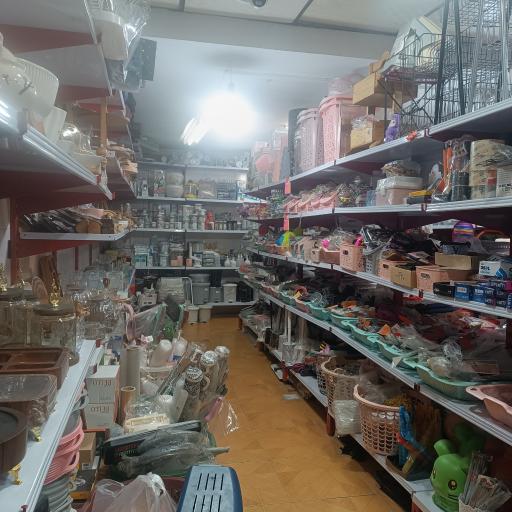 عکس پلاسکو عسل بانو 