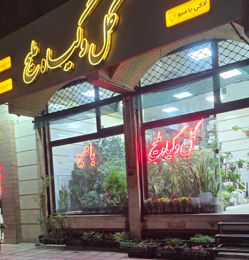 عکس گل و گیاه ملیج