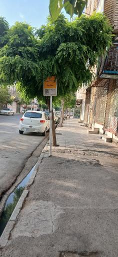 عکس  صاحبدلان 3