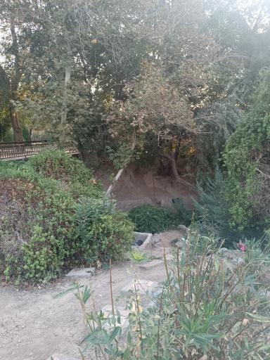 عکس بوستان مهر