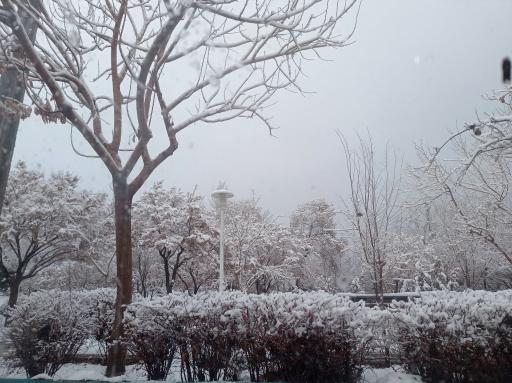 عکس بوستان مهر