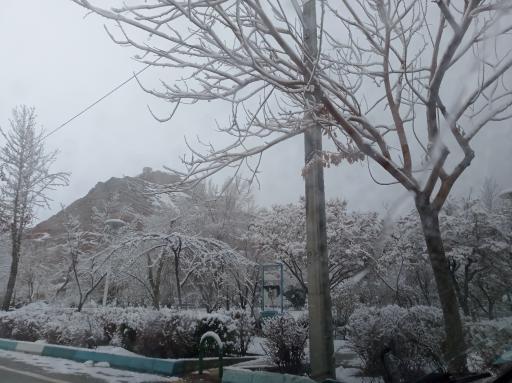 عکس بوستان مهر