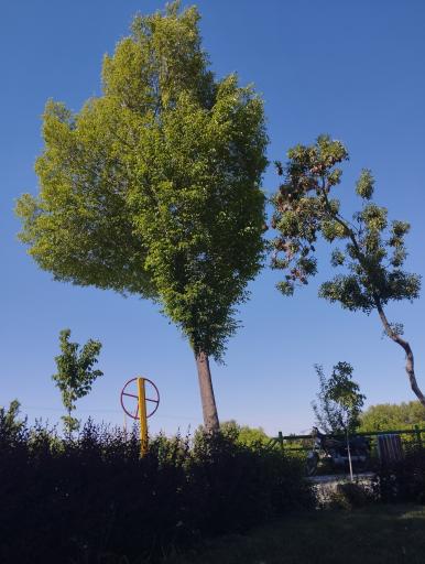 عکس بوستان مهر