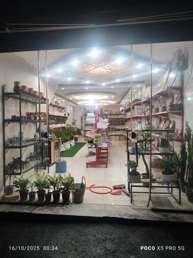 عکس بمب ارزونی کرج
