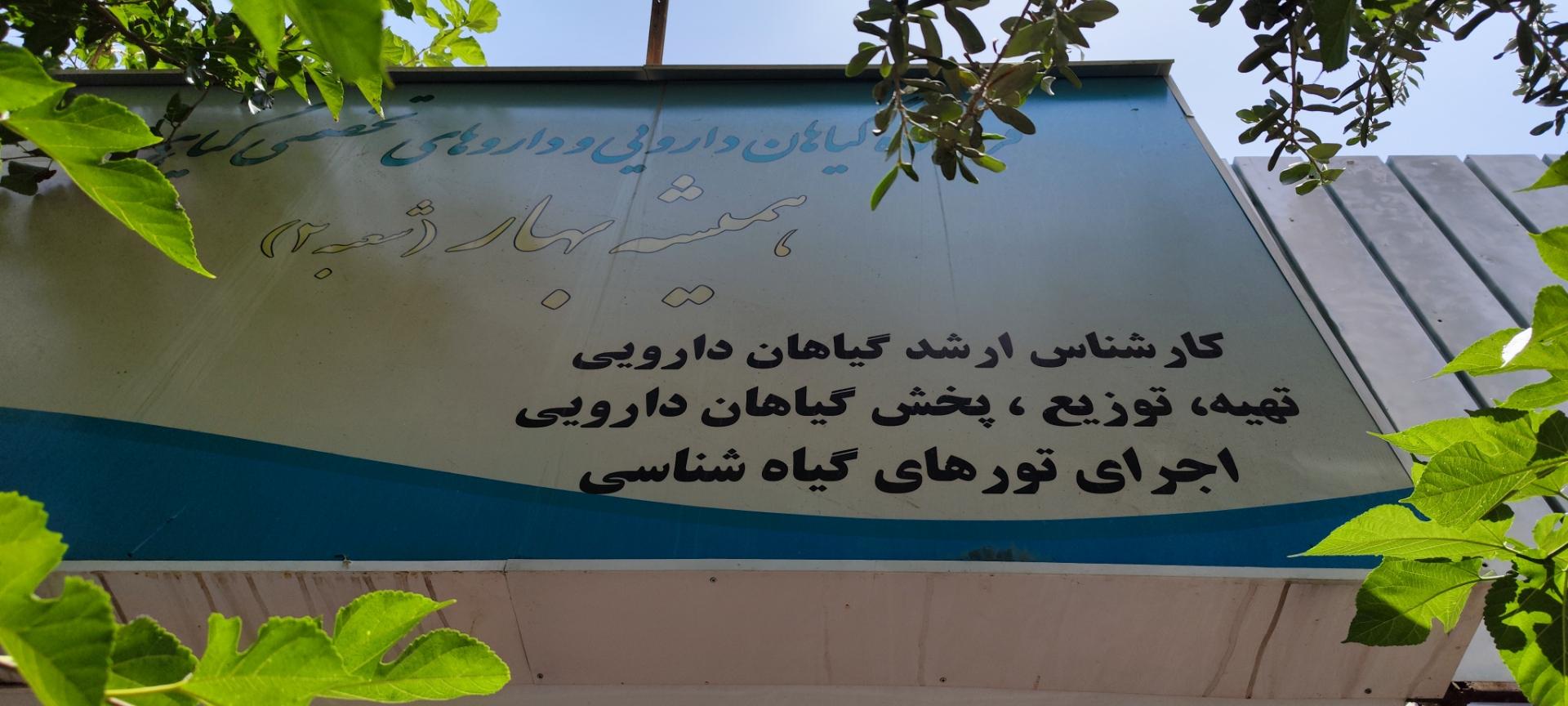 عکس مرکز گیاهان دارویی گل همیشه بهار شعبه ۲