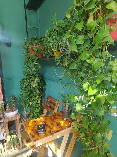 عکس آبمیوه و کافی 