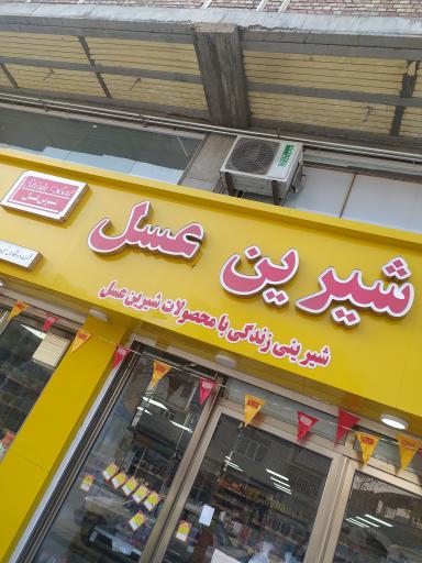 عکس شیرین عسل مکریان