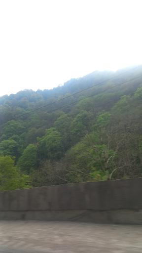 تفرجگاه هزار پیچ