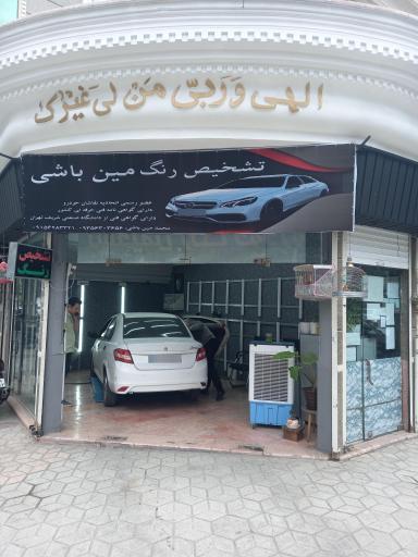 عکس تشخیص رنگ مین باشی