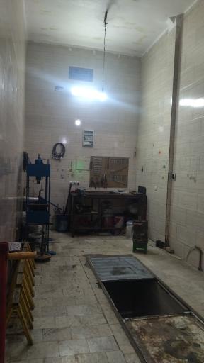 عکس جلوبندی ریس