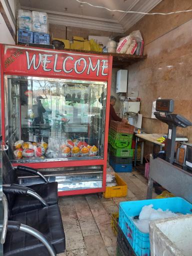 عکس مرغ و ماهی منیژگان