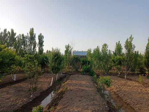 عکس باغ باباسید