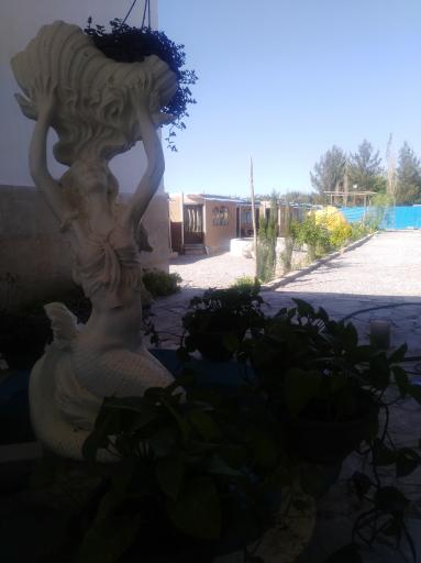 عکس مجموعه پذیرایی بلوط