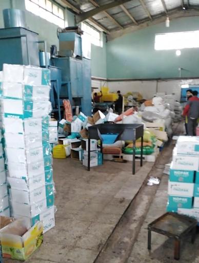 عکس کشمش زینعلی 