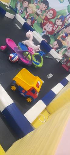 عکس خانه بازی دنا