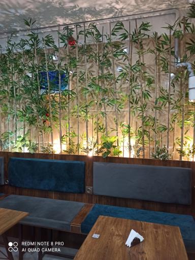 عکس کافیستا