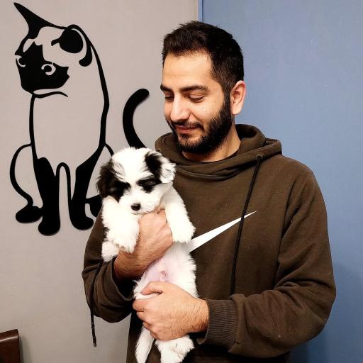 عکس کلینیک دامپزشکی برسا 