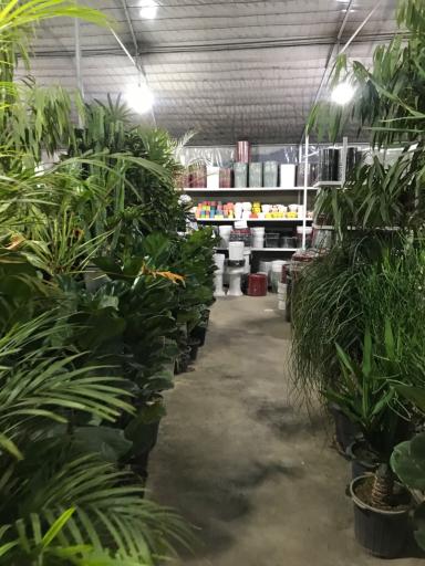 عکس گلخانه برخورداری