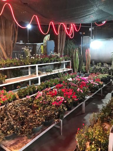 عکس گلخانه برخورداری