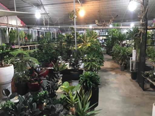 عکس گلخانه برخورداری