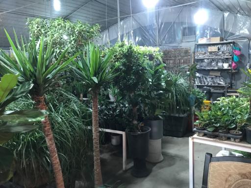 عکس گلخانه برخورداری