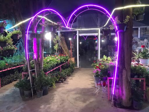 عکس گلخانه برخورداری