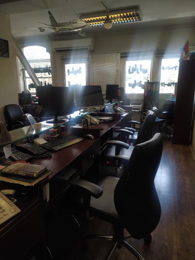 عکس ویزا بیر