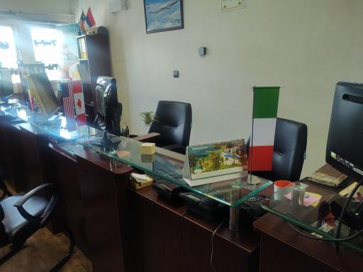 عکس ویزا بیر