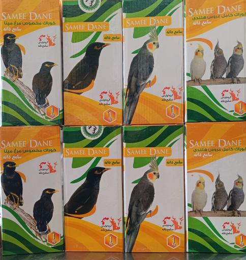 عکس فروشگاه امیر