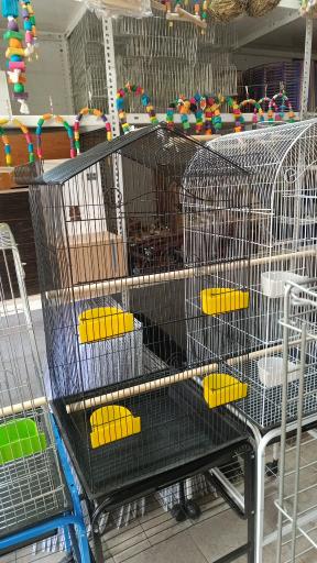 عکس فروشگاه امیر