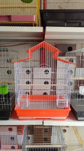 عکس فروشگاه امیر