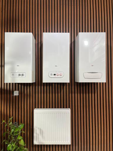 عکس نمایندگی بوتان جوزی 