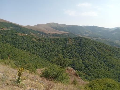 عکس جنگل های ارسباران