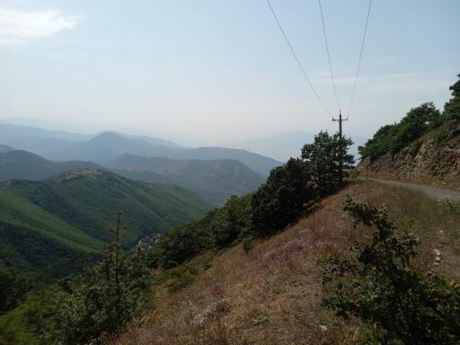 عکس جنگل های ارسباران