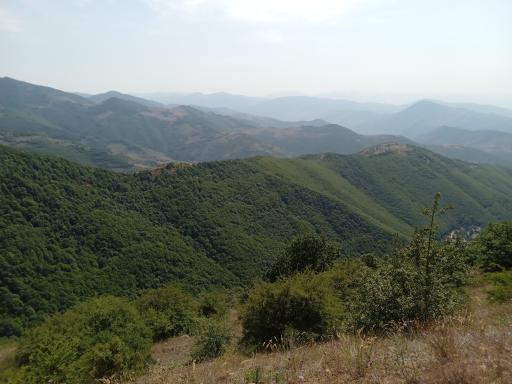 عکس جنگل های ارسباران