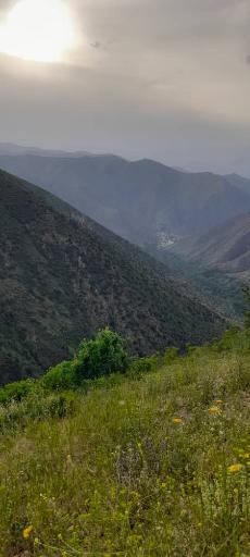 عکس جنگل های ارسباران