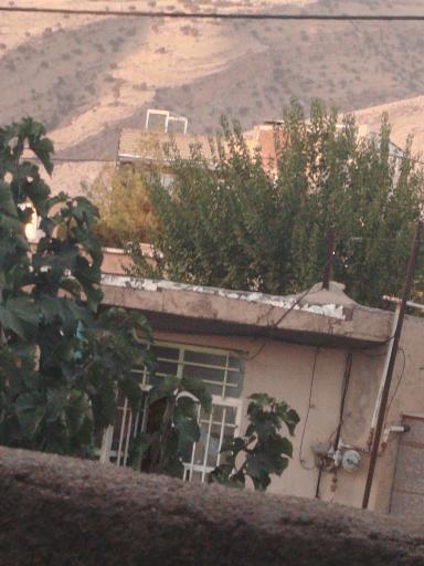 عکس سوپر مارکت همایون