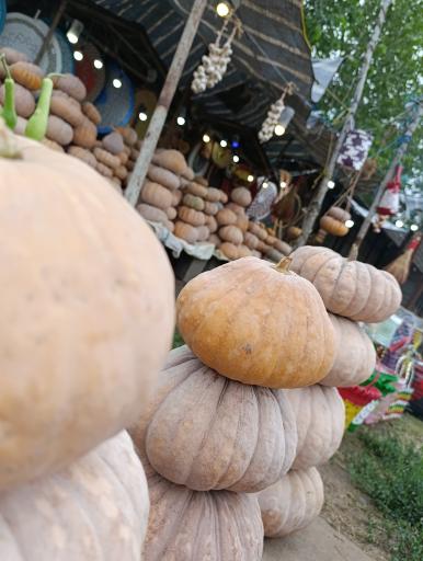 عکس مغازه چهار فصل رشيد 