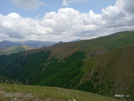 عکس جنگل های ارسباران