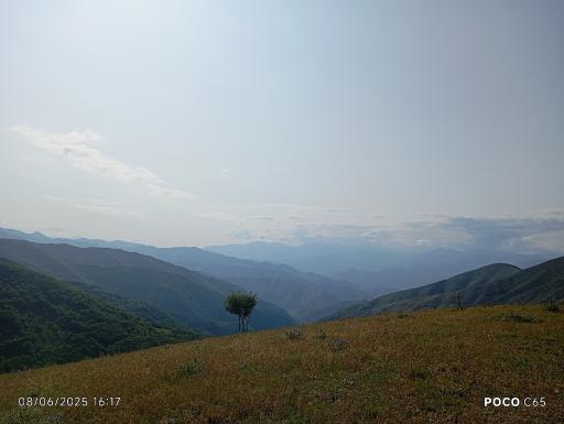 عکس جنگل های ارسباران